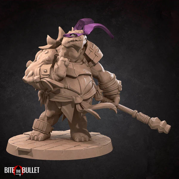 Ninja Tortles (4 Models)
