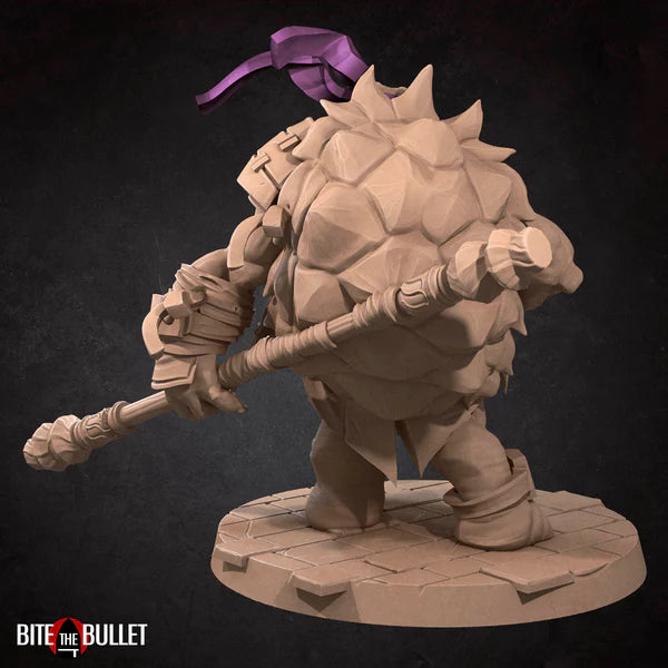 Ninja Tortles (4 Models)