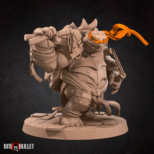 Ninja Tortles (4 Models)