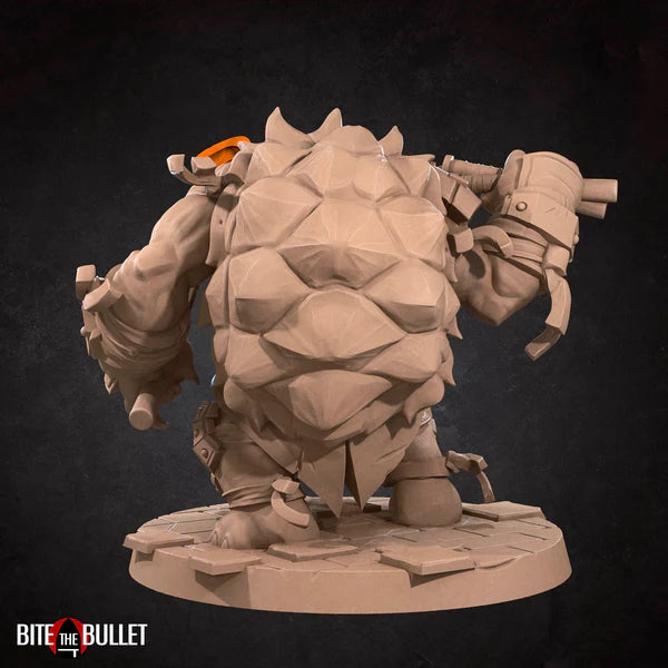 Ninja Tortles (4 Models)
