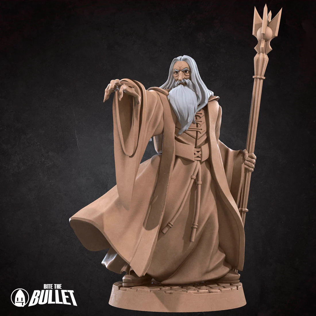 Dark Wizard