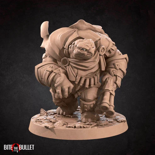 Tortles — Complete Collection (12+ Models)