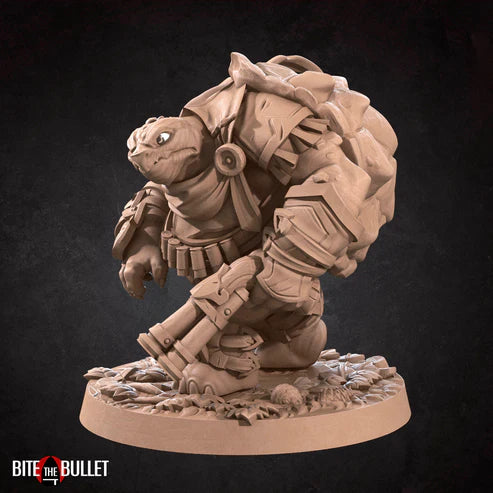 Tortle Hunter (Blunderbuss)