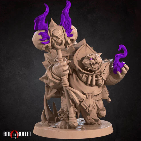 Tortles — Complete Collection (12+ Models)