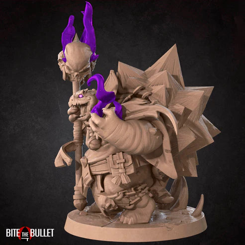 Tortle Warlock