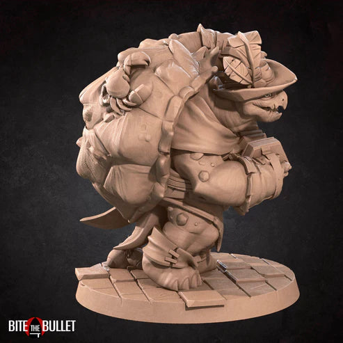 Tortle Bard