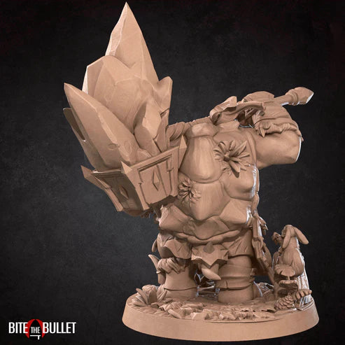 Tortle Barbarian