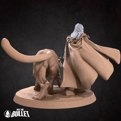 Drow Ranger and Familiar