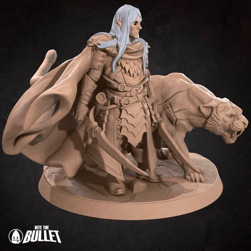 Drow Ranger and Familiar