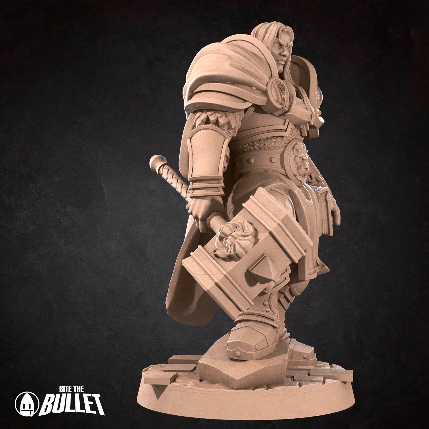 Human Prince Paladin