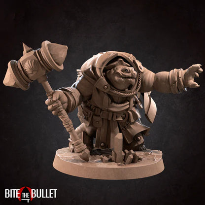 Tortle Cleric