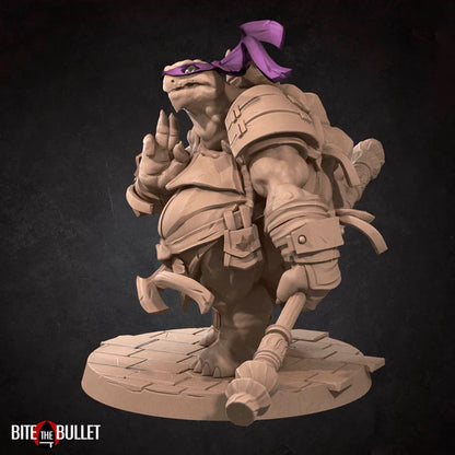 Ninja Tortles (4 Models)