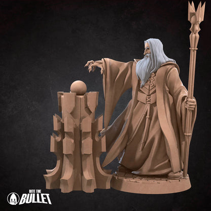 Dark Wizard