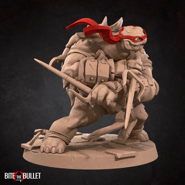 Ninja Tortles (4 Models)