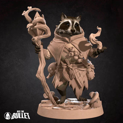 Raccoonfolk Druid