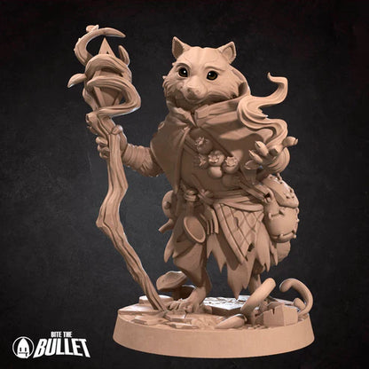 Raccoonfolk Druid