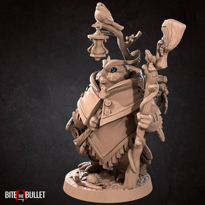 Owlfolk Druid