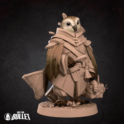 Owlfolk Gatherer