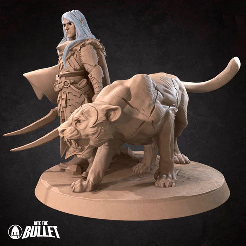 Drow Ranger and Familiar