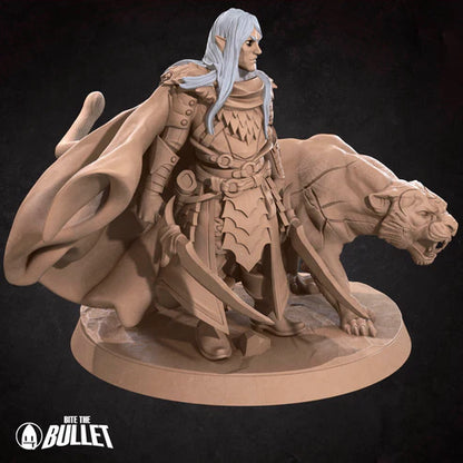 Drow Ranger and Familiar