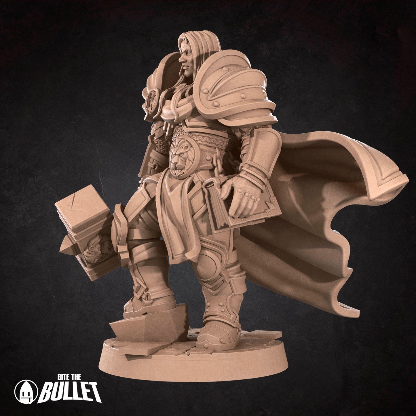 Human Prince Paladin