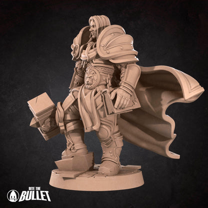 Human Prince Paladin