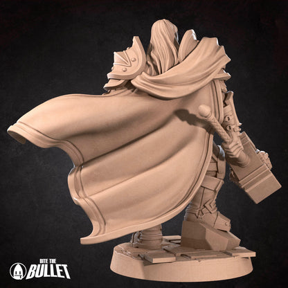 Human Prince Paladin