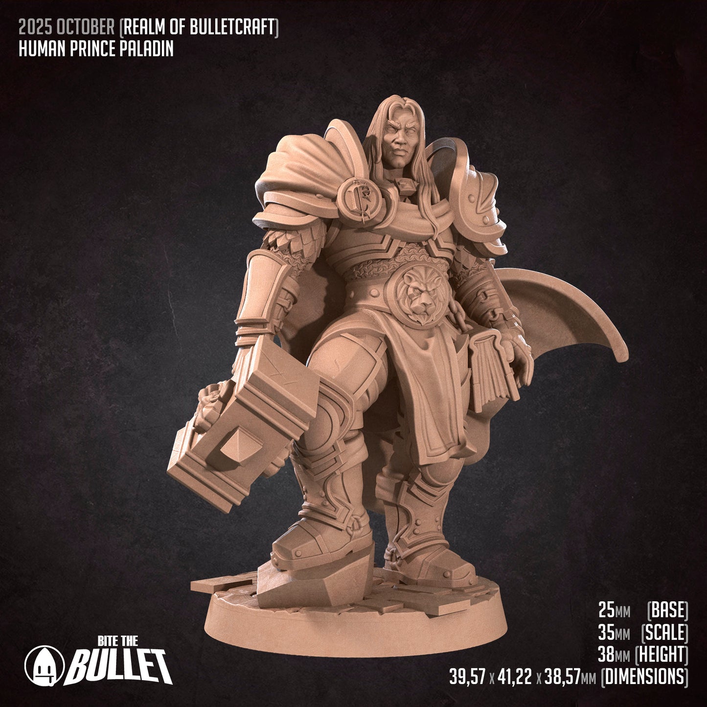 Human Prince Paladin