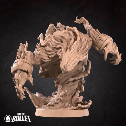 Human Mage Admiral (+Elemental)