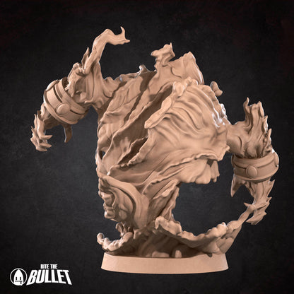 Human Mage Admiral (+Elemental)