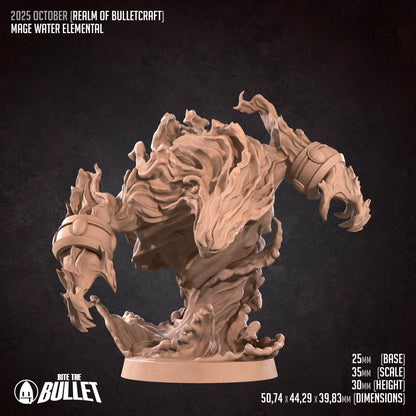 Human Mage Admiral (+Elemental)